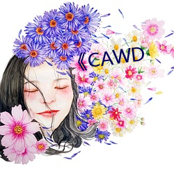 《CAWD