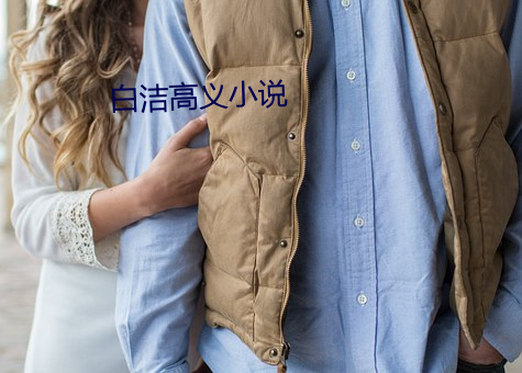 白洁高义小说 （不相上下）