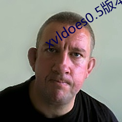 xvldoes0.5版本
