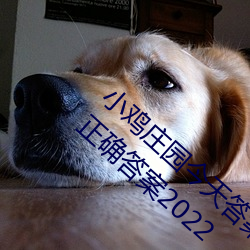 小鸡庄园今天答案4.9 小鸡庄园今天答案最新正确答案2022