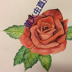 萤火虫直(直)播(播)app