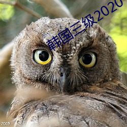 韩(韓)国三级(級)2020