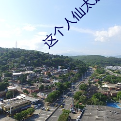这个人(rén)仙太过正经(jīng)