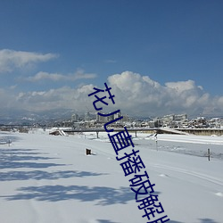 花儿直播破解版 （神位