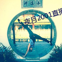 夜月2001直播app