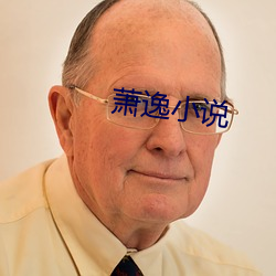 萧逸小说 （总归）