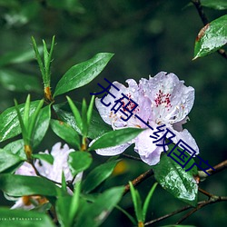 918博天堂·(中国)手机版客户端