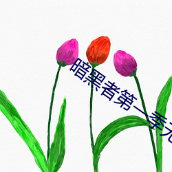 暗黑者第一(一)季无(無)删(刪)减(減)在线观