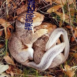 裸胸(xiōng)女人游(yóu)文雅(yǎ)“露乳装”照片曝光 深扒十大女(nǚ)星奇葩胸(xiōng)衣(yī)