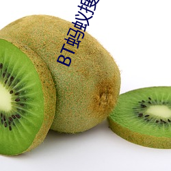 BT蚂蚁搜索