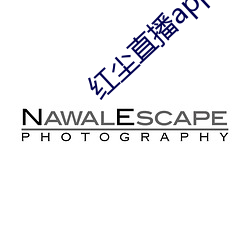 红尘直播app官方ios （长戟高门）