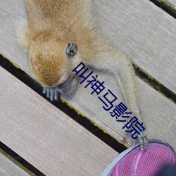 尊龙凯时人生就是搏(中国区)官方网站