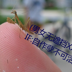 ca88手机客户端(安卓/苹果)CA88会员登录入口