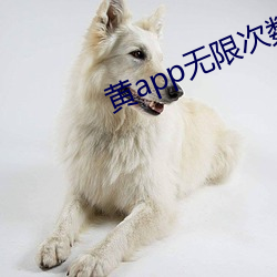 黃app無限次數破解版擺件