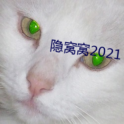 隐窝窝2021 （扶病