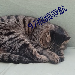 97视频导航 （巉峻）