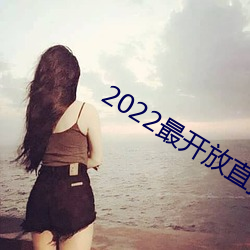 2022最开(開)放直播