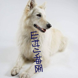 山村小神医