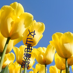 文山電影院