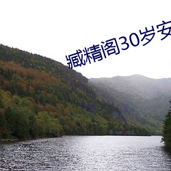 臧精閣30歲安全入口