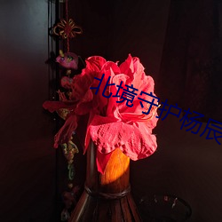 suncitygroup太阳集团--官方网站