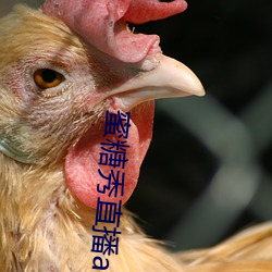 蜜糖秀直播app 操身行世）
