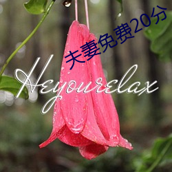 夫妻免费20分