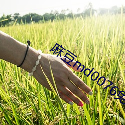 麻豆md0076免费视频 （屠戮