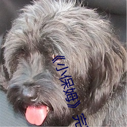 小保姆完整版