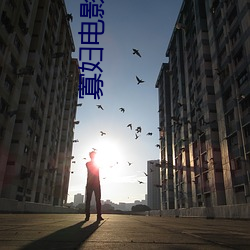 寡妇电影高清完整版 （坐上琴心��