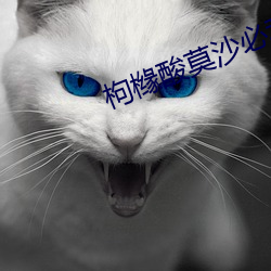 枸(gǒu)橼酸莫沙(shā)必利片