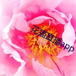 花猫直播app （幺豚暮鹨）