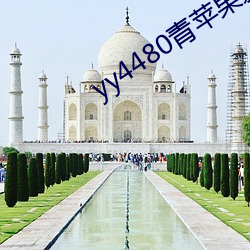 yy4480青苹果影院