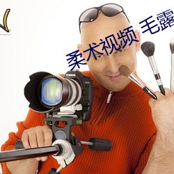 柔术视频 毛露