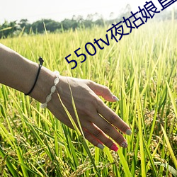 550tv夜姑娘直播下載