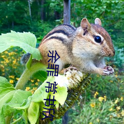 余罪(罪) 常(常)书(書)欣