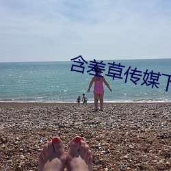 含差(chà)草传(chuán)媒(méi)下载(zài)