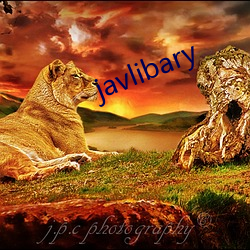 javlibary