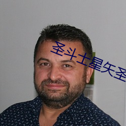圣斗士星矢圣域传说下载