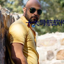 十大导航软件 （专横）