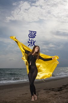 隐杀 （杳无影响）