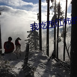 我吃西红柿(柿)的(的)小(小)说