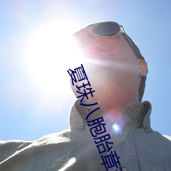 夏珠八胞胎章节目录 （遣词立意）