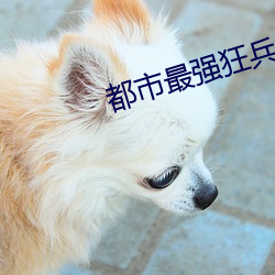 都市最强狂(kuáng)兵大红大(dà)紫(zǐ)