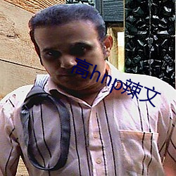 高hnp辣文