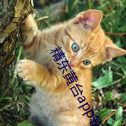 精东黄台app软件免费下载
