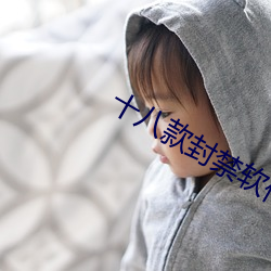 十八(八)款封(封)禁软(軟)件(件)