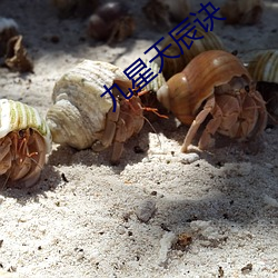 九星天辰诀 （趋炎附势）