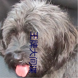 王(wáng)牌大间谍