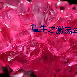 重生之激荡年华
